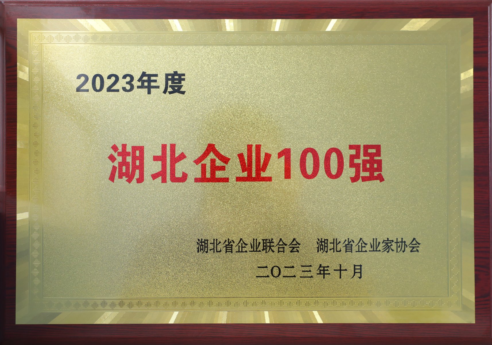 2023年度湖北省百強企業(yè)